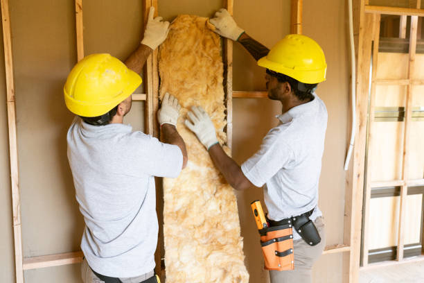 Best Radiant Barrier Insulation  in Cobden, IL